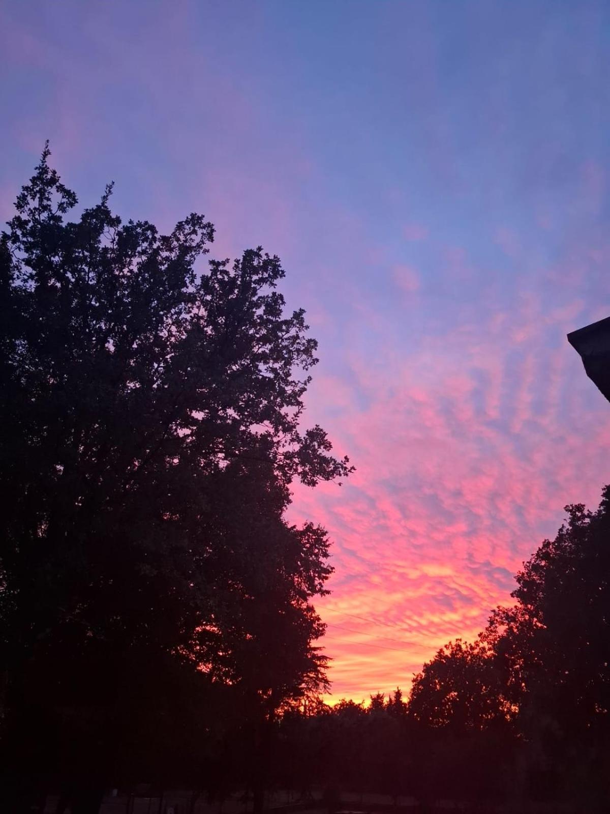 Villa Amalia Široki Brijeg Buitenkant foto